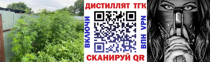 Дистиллят ТГК THC oil  Котово 
