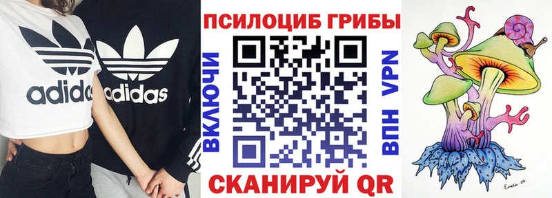 Галлюциногенные грибы GOLDEN TEACHER Котово